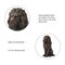 Set of 2 20.75"H Bronze/Black MGO Guardian Sitting Lion Statue